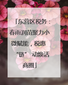东营区税务：春雨润苗聚力小微赋能，税惠 “链” 动焕活商圈