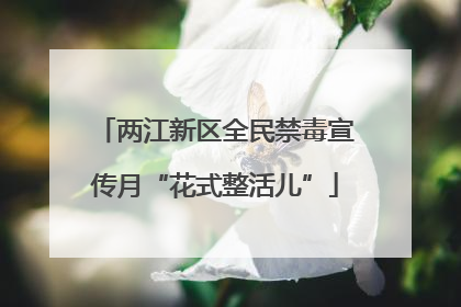 两江新区全民禁毒宣传月“花式整活儿”