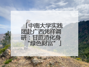 中南大学实践团赴广西凭祥调研：甘蔗渣化身“绿色财富”
