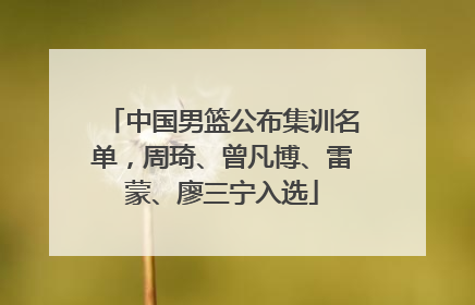 中国男篮公布集训名单，周琦、曾凡博、雷蒙、廖三宁入选