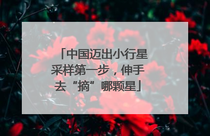 中国迈出小行星采样第一步，伸手去“摘”哪颗星