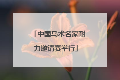 中国马术名家耐力邀请赛举行