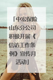 中宏保险山东分公司积极开展《信访工作条例》宣传月活动