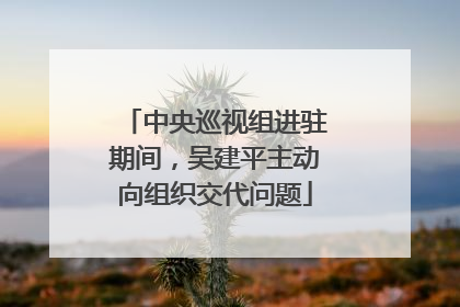 中央巡视组进驻期间，吴建平主动向组织交代问题