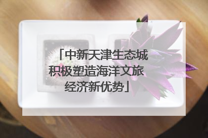 中新天津生态城积极塑造海洋文旅经济新优势