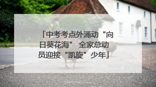 中考考点外涌动“向日葵花海” 全家总动员迎接“凯旋”少年