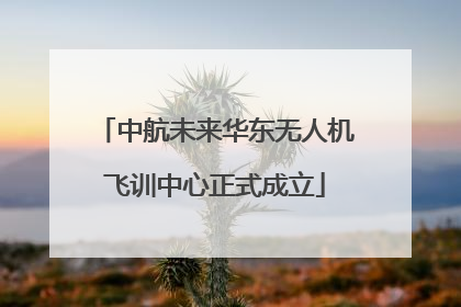 中航未来华东无人机飞训中心正式成立
