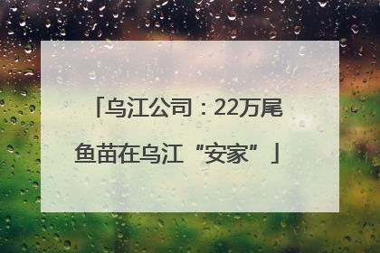 乌江公司：22万尾鱼苗在乌江“安家”