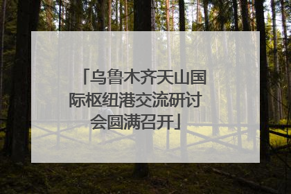 乌鲁木齐天山国际枢纽港交流研讨会圆满召开