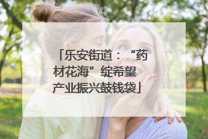 乐安街道：“药材花海”绽希望 产业振兴鼓钱袋