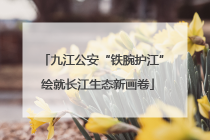 九江公安“铁腕护江”绘就长江生态新画卷
