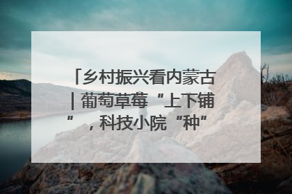 乡村振兴看内蒙古｜葡萄草莓“上下铺”，科技小院“种”出三倍效益