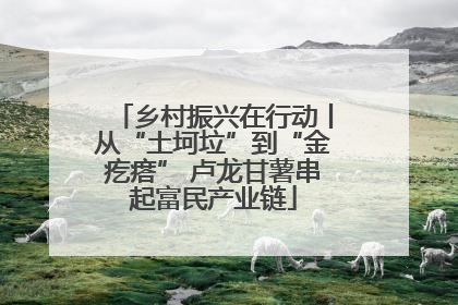 乡村振兴在行动丨从“土坷垃”到“金疙瘩” 卢龙甘薯串起富民产业链