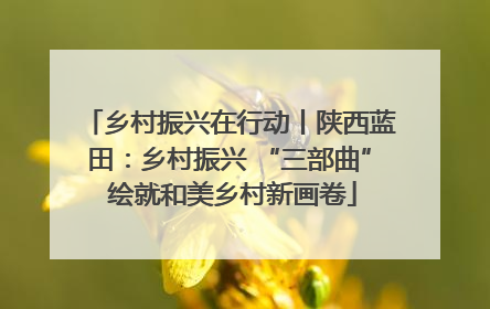 乡村振兴在行动丨陕西蓝田：乡村振兴 “三部曲” 绘就和美乡村新画卷