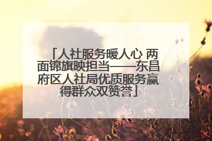人社服务暖人心 两面锦旗映担当——东昌府区人社局优质服务赢得群众双赞誉