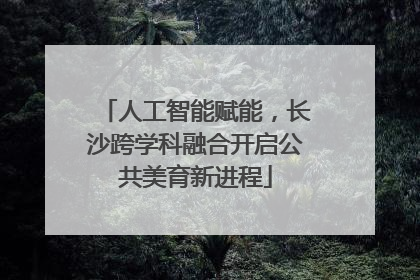 人工智能赋能，长沙跨学科融合开启公共美育新进程