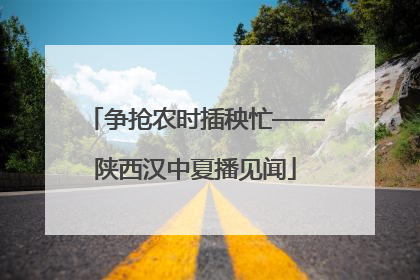 争抢农时插秧忙——陕西汉中夏播见闻