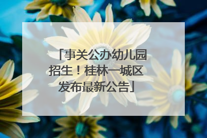 事关公办幼儿园招生！桂林一城区发布最新公告