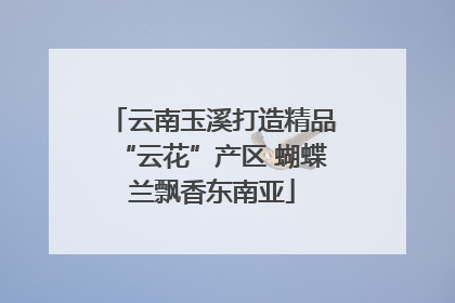 云南玉溪打造精品“云花”产区 蝴蝶兰飘香东南亚