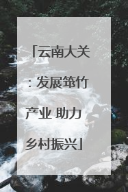 云南大关：发展筇竹产业 助力乡村振兴