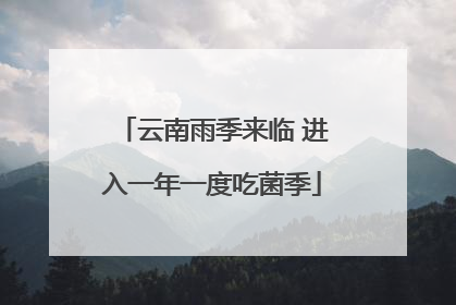 云南雨季来临 进入一年一度吃菌季