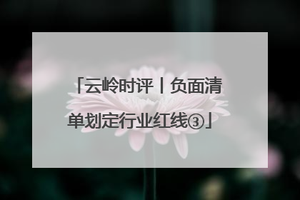 云岭时评丨负面清单划定行业红线③