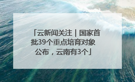 云新闻关注｜国家首批39个重点培育对象公布，云南有3个