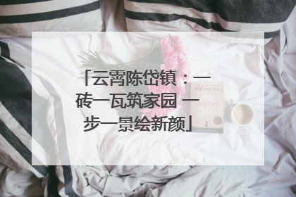 云霄陈岱镇：一砖一瓦筑家园 一步一景绘新颜