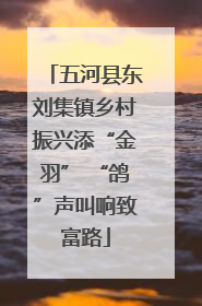 五河县东刘集镇乡村振兴添“金羽” “鸽”声叫响致富路