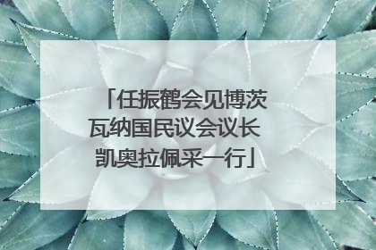 任振鹤会见博茨瓦纳国民议会议长凯奥拉佩采一行