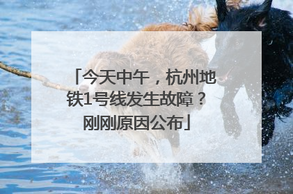 今天中午，杭州地铁1号线发生故障？刚刚原因公布