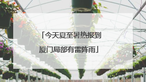 今天夏至暑热报到 厦门局部有雷阵雨
