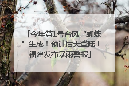 今年第1号台风“蝴蝶”生成！预计后天登陆！福建发布暴雨警报