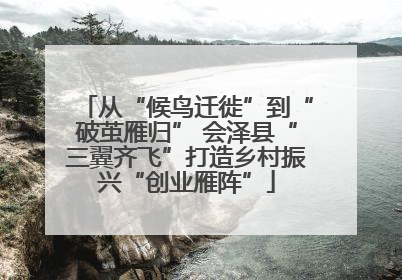 从“候鸟迁徙”到“破茧雁归” 会泽县“三翼齐飞”打造乡村振兴“创业雁阵”