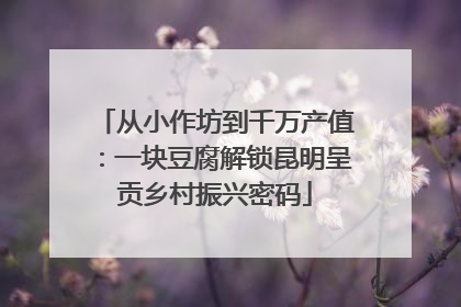 从小作坊到千万产值：一块豆腐解锁昆明呈贡乡村振兴密码