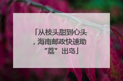 从枝头甜到心头，海南邮政快速助“荔”出岛