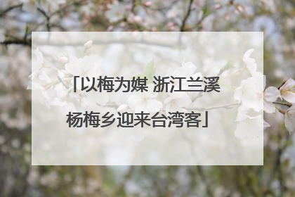 以梅为媒 浙江兰溪杨梅乡迎来台湾客