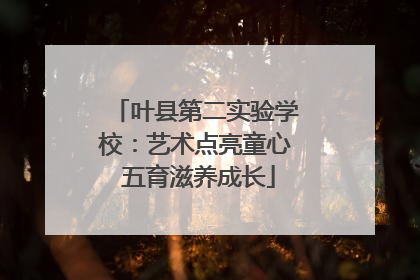 叶县第二实验学校：艺术点亮童心 五育滋养成长
