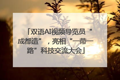 双语AI视频导览员“成都造”，亮相“一带一路”科技交流大会