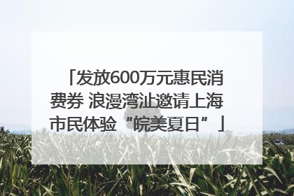 发放600万元惠民消费券 浪漫湾沚邀请上海市民体验“皖美夏日”