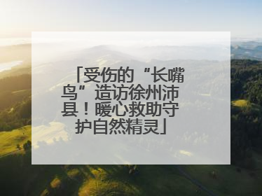 受伤的“长嘴鸟”造访徐州沛县！暖心救助守护自然精灵