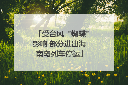 受台风“蝴蝶”影响 部分进出海南岛列车停运