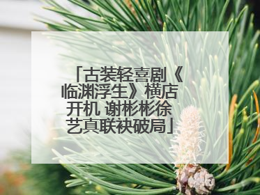 古装轻喜剧《临渊浮生》横店开机 谢彬彬徐艺真联袂破局