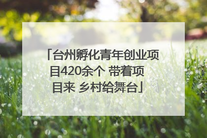 台州孵化青年创业项目420余个 带着项目来 乡村给舞台