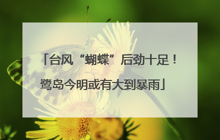 台风“蝴蝶”后劲十足！鹭岛今明或有大到暴雨