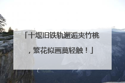 十堰旧铁轨邂逅夹竹桃，繁花似画莫轻触！