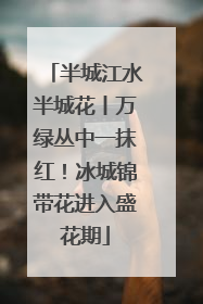 半城江水半城花丨万绿丛中一抹红！冰城锦带花进入盛花期