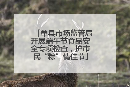 单县市场监管局开展端午节食品安全专项检查，护市民“粽”情佳节
