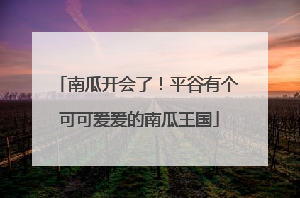 南瓜开会了！平谷有个可可爱爱的南瓜王国