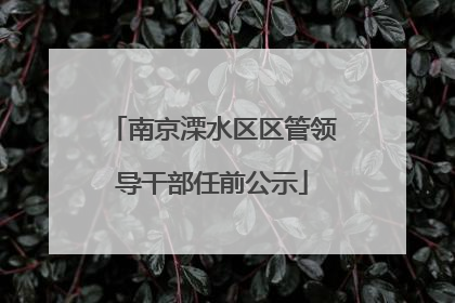 南京溧水区区管领导干部任前公示